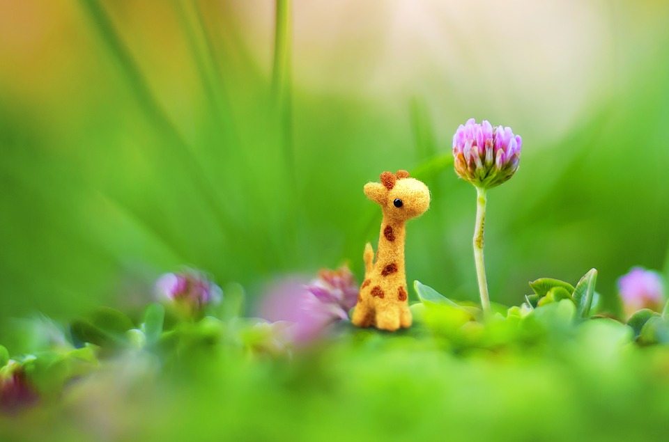 Sophie la girafe avec des fleurs